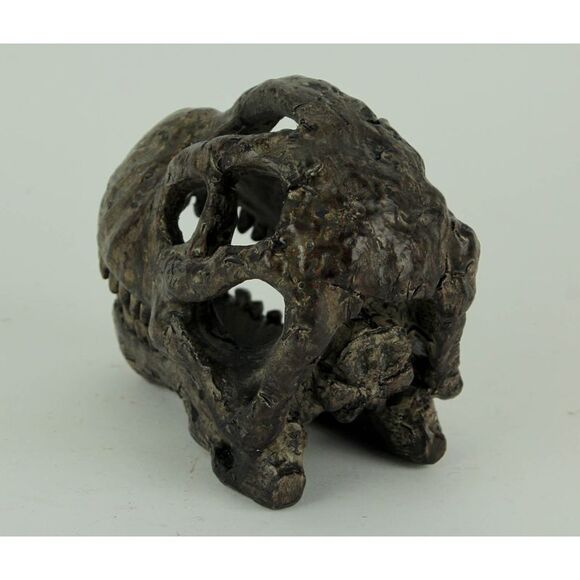 Brachiosaurus Dinosaur Head Fossil Statue Small - Picture 3 of 4